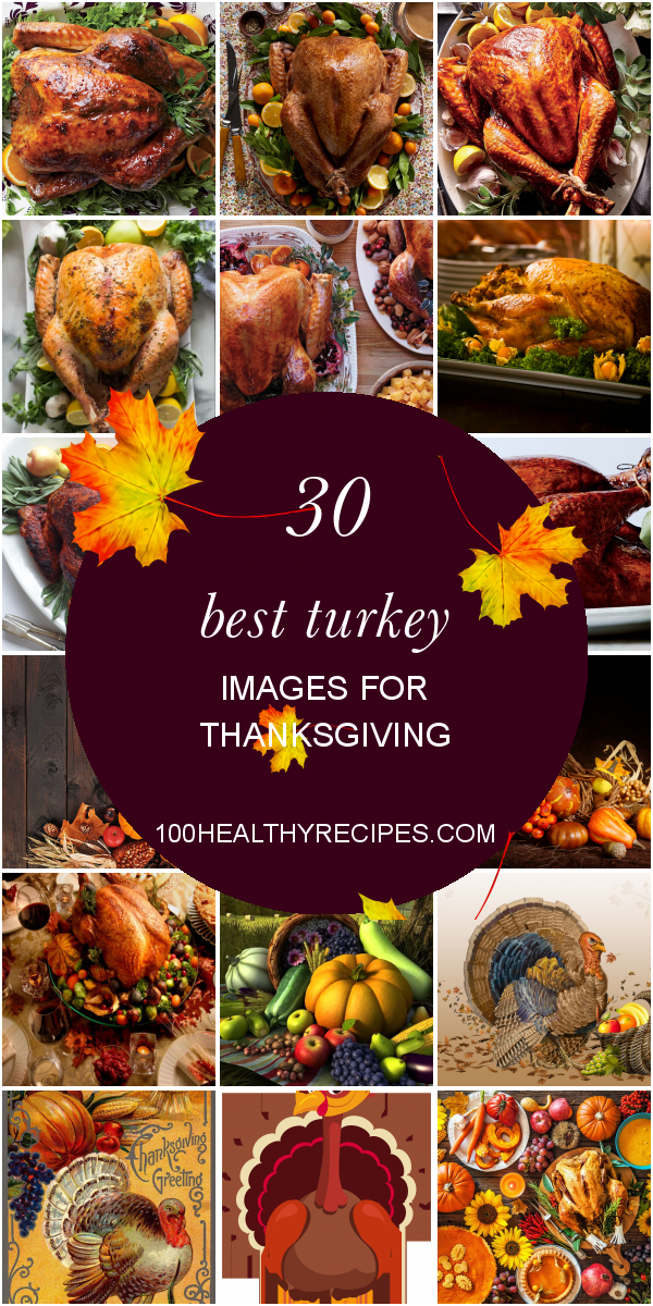 30 Best Turkey Images For Thanksgiving – Best Diet And Healthy Recipes ...